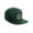 Hunter Green, variant on Classic Snapback St.Patrick Day 3D Lucky Clover Flat Bill Visor Cap, Lucky Clover Light Grey Hat