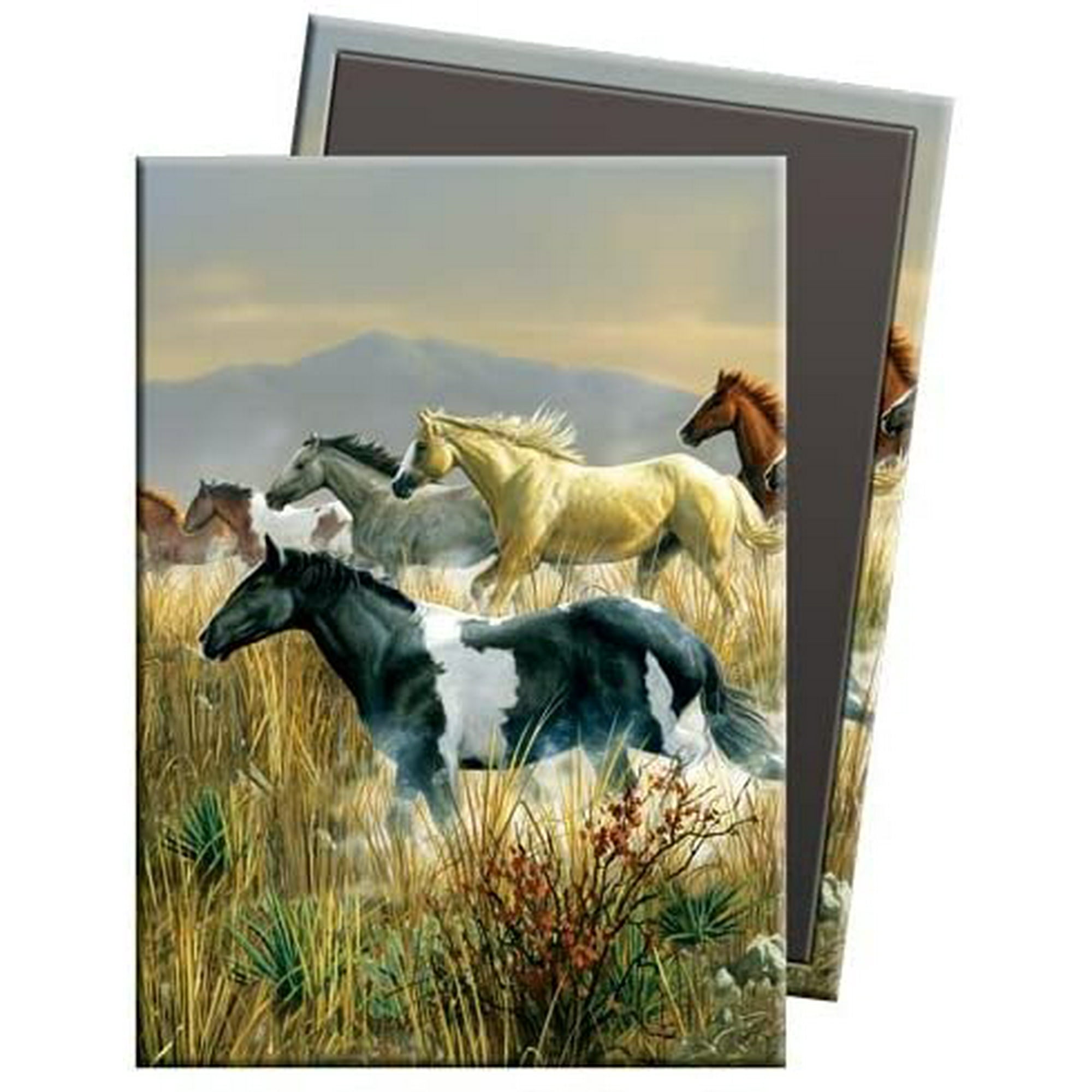 Tree Free Greetings Band Of Thunder Premium Magnet 2 5 X 3 5 Inches Multi Color Walmart Canada Tree Free Greetings Band Of Thunder Premium Magnet 2 5 X 3 5 Inches Multi Color Walmart Canada
