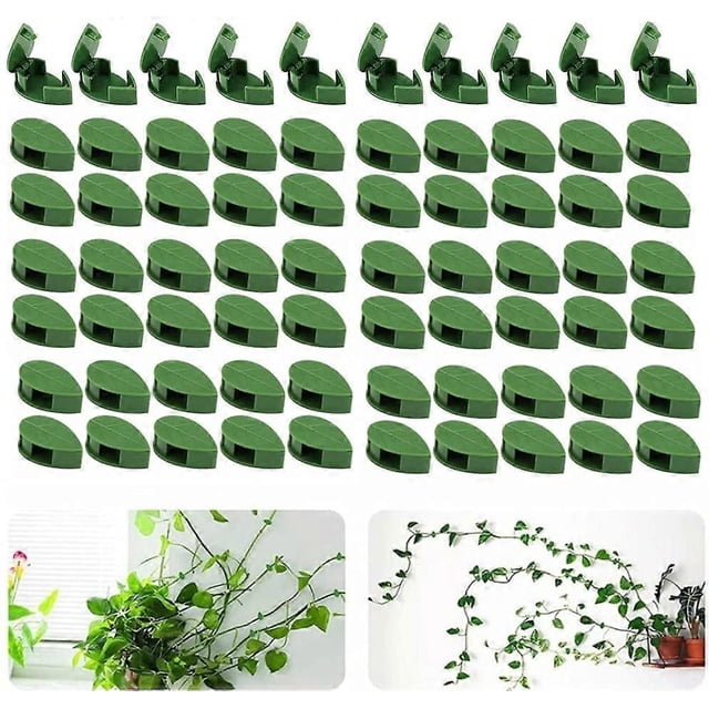 Set of 70 wall clips for climbing plants - For garden, home, office