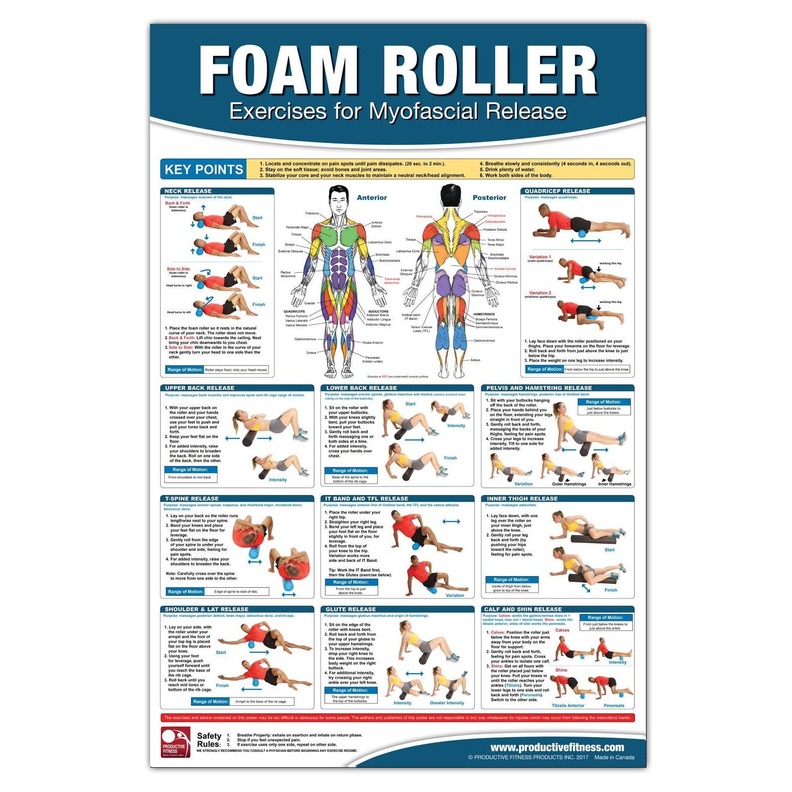 Productive Fitness Home Gym Work Out Poster Laminated Many Exercises 