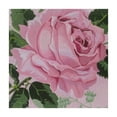 thumbnail image 4 of BANET Tablecloth Rectangle Tablecloth Fabric Table Cover for Kitchen, Dining Room and Party white, 4 of 8