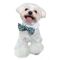 thumbnail image 4 of Pooch Outfitters  Roberto Bow Tie - Aqua - Extra Small, 4 of 6