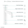 thumbnail image 6 of Avallon Single Hole, Single-Handle Wheel, Bathroom Faucet in Matte White, 6 of 11