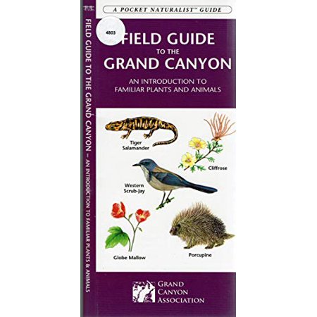 Pre-Owned Grand Canyon Field Guide to the: A Folding Pocket Guide to Familiar Plants and Animals (Paperback) 1583550216 9781583550212