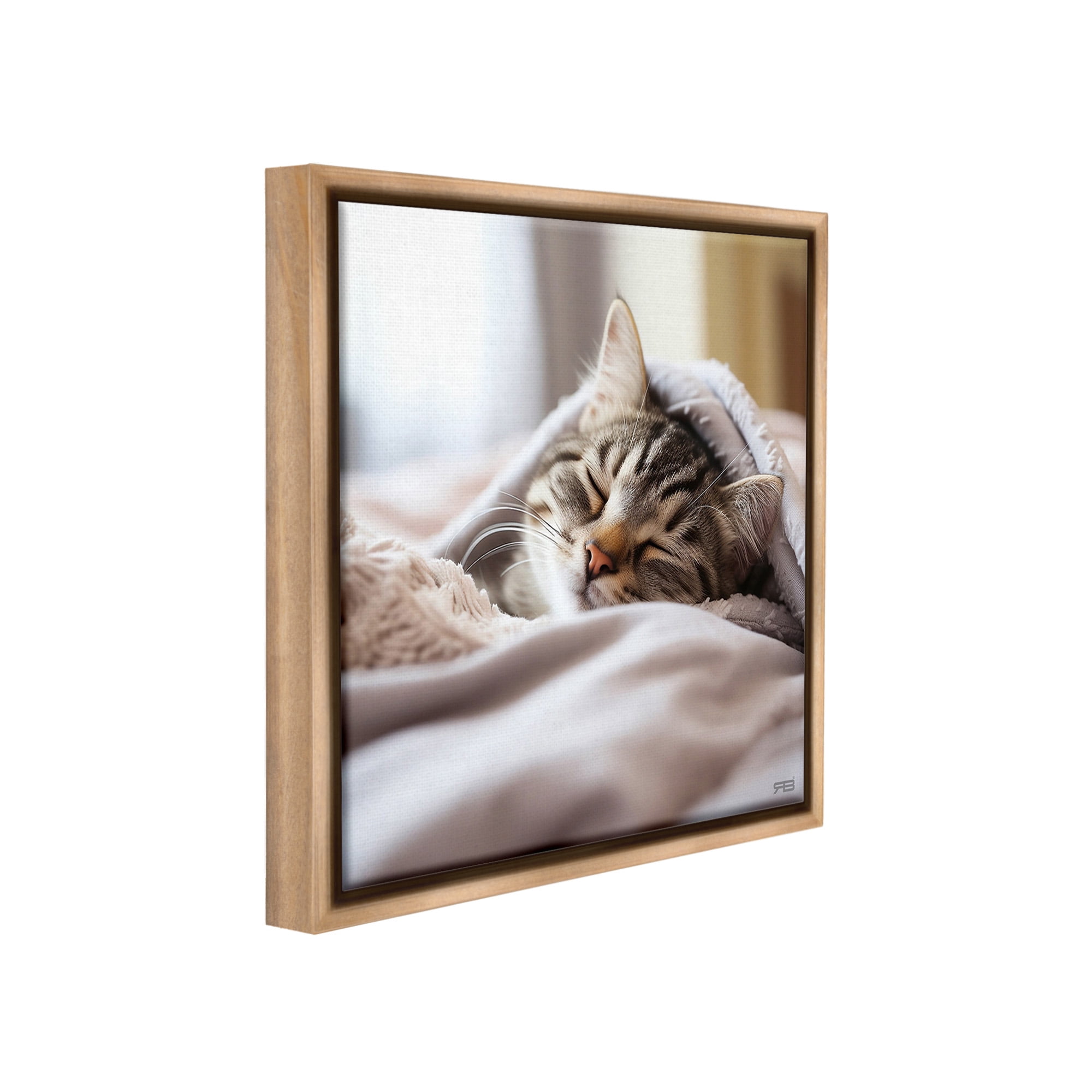 Stupell Industries Cozy Sleeping Kitten Animals & Insects Painting Brown Floater Framed Canvas Art Print Wall Art, 25 x 25