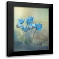 thumbnail image 1 of Zandersons, Davis 12x14 Black Modern Framed Museum Art Print Titled - Memories of a spring, 1 of 5