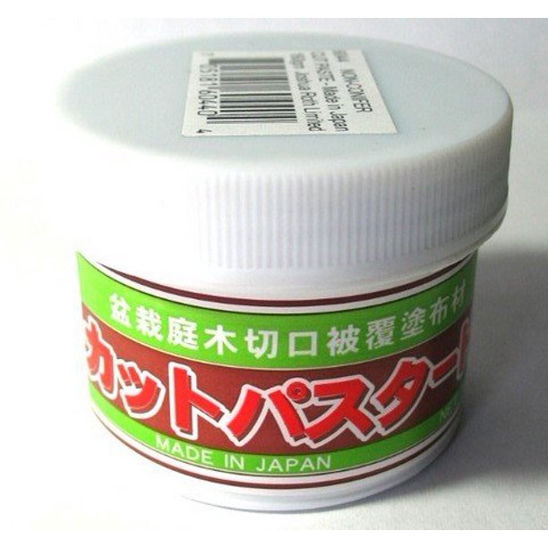 Bonsai Cut Paste 6044