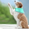 thumbnail image 5 of Pet Collars Dog Cat Puppy Bandana Ice Cool Scarf Collar Ideal for All Activities Breathable Design for Indoor and Outdoor Use, 5 of 5