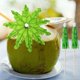 thumbnail image 2 of 50 Green Tropical Coconut Palm Tree Toothpick Paper Umbrella Stick Decorations Cocktail Stick Decorations Cocktail Decorations Party Bar Drinks Food Supplies, 2 of 5