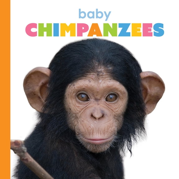 Starting Out Baby Chimpanzees, (Paperback)