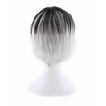 thumbnail image 2 of Pantalón corto de cosplay Wig Anime en dos tonos degradados para hombre y mujer, 2 of 2