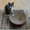 thumbnail image 5 of Cozy Cat Scratcher Bowl, 5 of 11