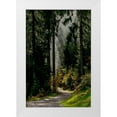 thumbnail image 1 of Murdock, Ramona 11x14 White Modern Wood Framed Museum Art Print Titled - Light in the Forest, 1 of 4