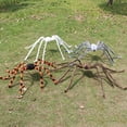 SUSUchens Giant Halloween Hairy Spider With Red Eyes Scary Realistic susuchens-giant-halloween-hairy-spider-with-red-eyes-scary-realistic
