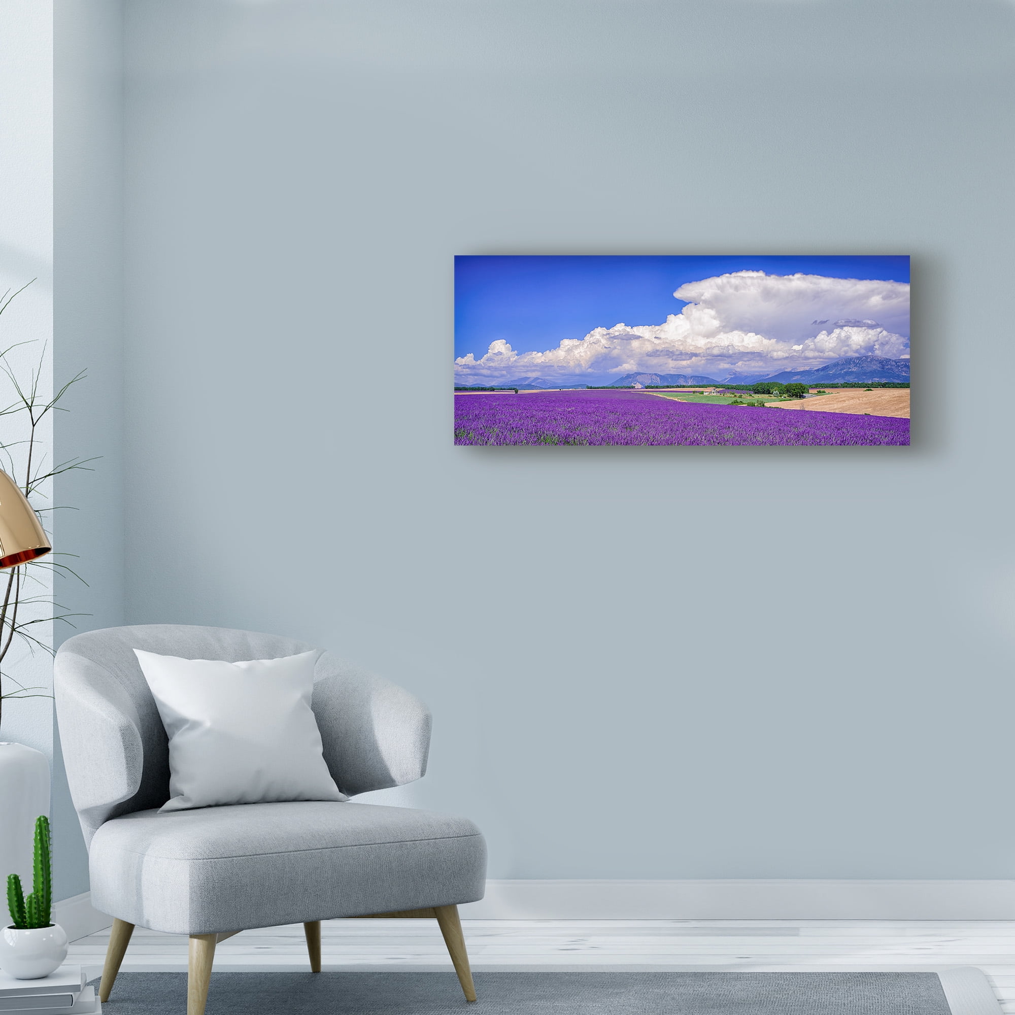 Cloud Bank Over Lavender Panorama' Canvas Art by Michael Blanchette Photography