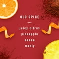thumbnail image 3 of Febreze Car Odor-Eliminating Air Freshener, Old Spice, 2 Ct, 3 of 10