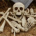 thumbnail image 4 of Modelo De Manos De Esqueleto De Halloween Para Decoración De Halloween, Accesorios De Terror, Suministros Para Festivales De Fantasmas, Huesos De Mano De Simulación De Plástico Monstrate HA037647-00, 4 of 6