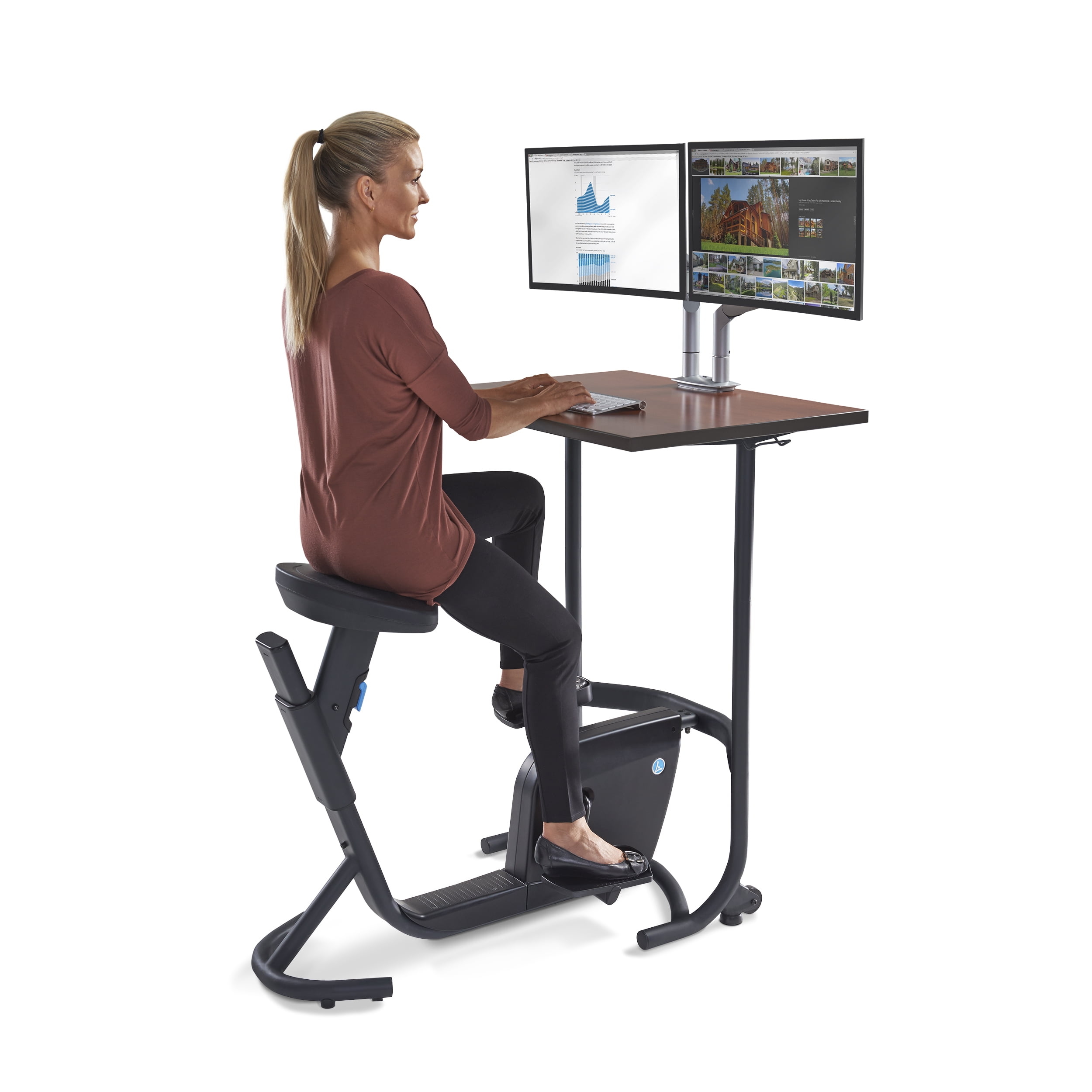 Lifespan Unity Bike Desk