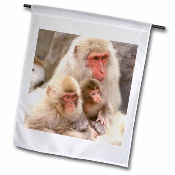3dRose, Japan, Nagano, Jigokudani, Snow Monkey Family-AS15 RTI0487 - Rob Tilley, 12 x 18 inch Garden Flag