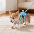 thumbnail image 5 of Harness with Backpack for Small Dogs, Breathable Mesh Padding, 3D Wrapping, No-Pull Anti-Choke, Reflective, Lightweight, Adjustable Blue, 5 of 6