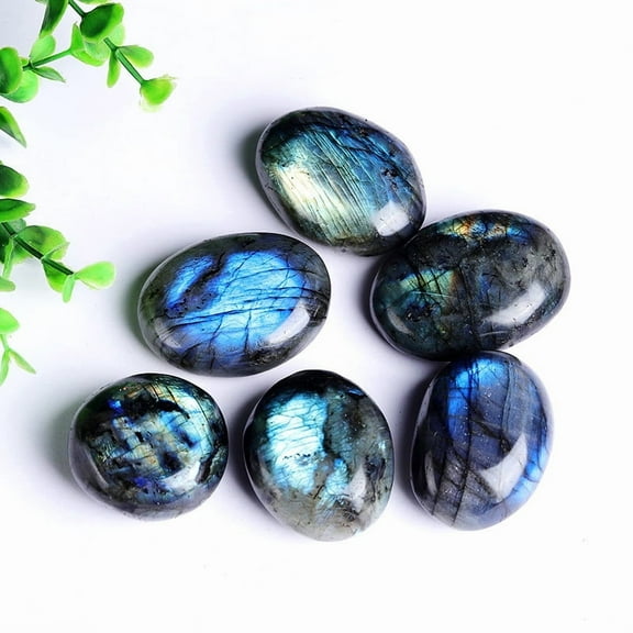 Natural Labradorite Cabochons Irregular Oval 20~30mm