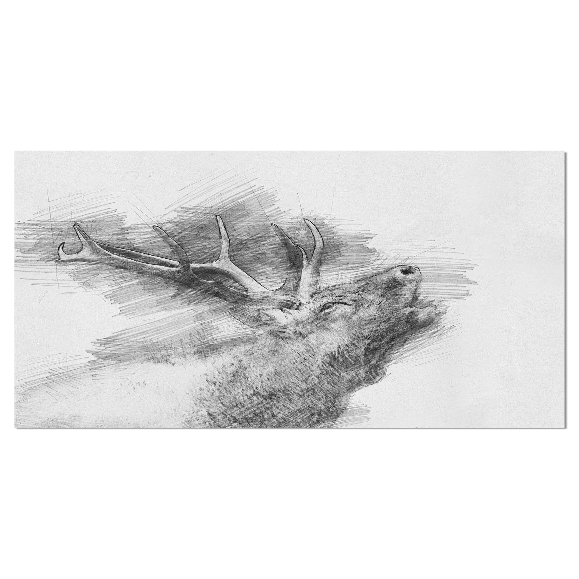Pencil Drawing - Deer | Pencil drawing of a deer | Flickr