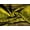 Olive Multi, variant on Minerva Wool Blend Knit Coating Fabric Olive Multi - per yard