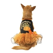 Way To Celebrate Dog Halloween Dress, Black Mommy's Little Pumpkin, (Small)
