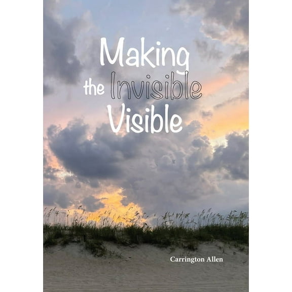 Making the Invisible Visible, (Paperback)