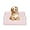 Pink, variant on Dog Pee Pad Holder, Puppy Potty Training Tray 22.5”X16.5” for Small Dogs (Pink)