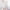 White, variant on WXLWZYWL Capris for Women Casual Summer 2024 Drawstring Elastic Capri Pants High Waist Pant Soft Straight Wide Pants Trendy Crop Pants Sports Capris Baggy Running Capris