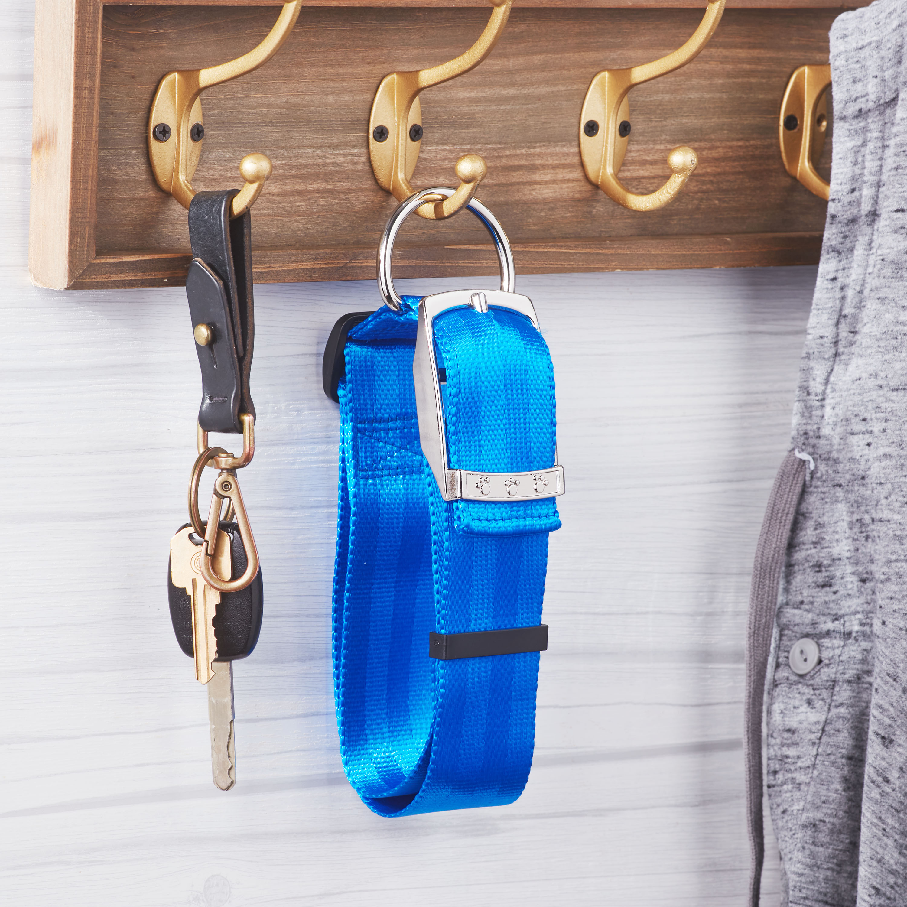 Vibrant Life Solid Nylon Dog Collar with Metal Buckle, Blue, Medium - image 2 of 7