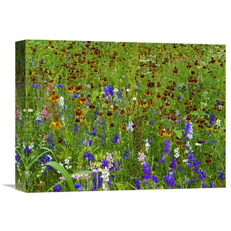 Global Gallery Delphinium and Mexican Hat Flowers in Meadow North America Wall