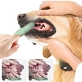 thumbnail image 3 of Kit Cepillos Dentales Mascotas Pack 4 Unidades Cerdas Suaves para Cuidado Bucal, 3 of 7