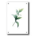 thumbnail image 1 of Epic Art 'Eucalyptus III' by Seven Trees Design, Acrylic Glass Wall Art, 24"x36", 1 of 3