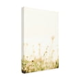 thumbnail image 2 of Blue Palomino 'Translucent Beach Flowers I' Canvas Art, 2 of 3