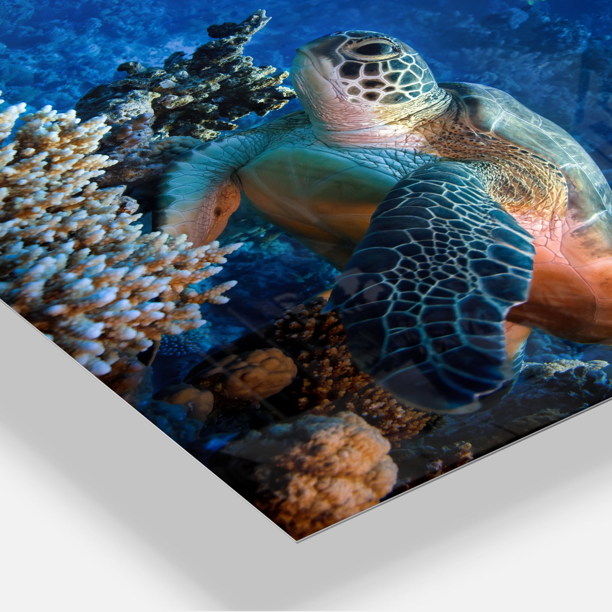 Designart 'Large Sea Turtle underwater ' Abstract Metal Wall Art