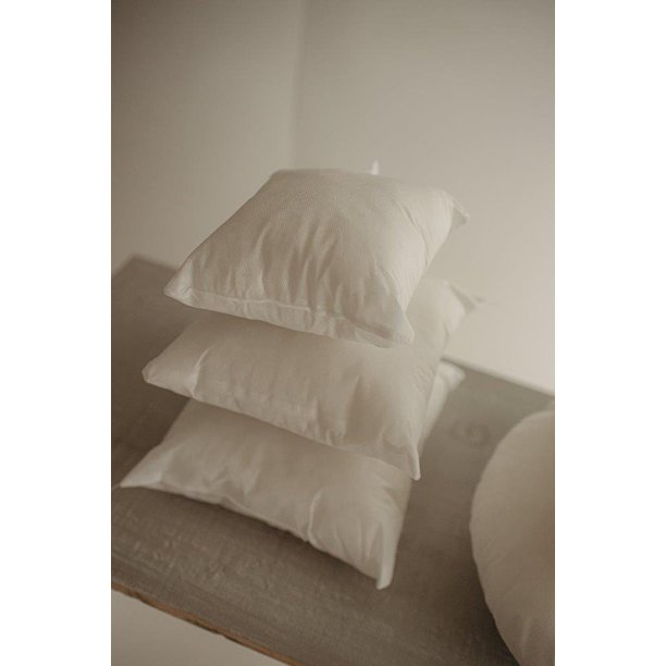 6x6 Indoor Outdoor Hypoallergenic Polyester Pillow Economical Insert