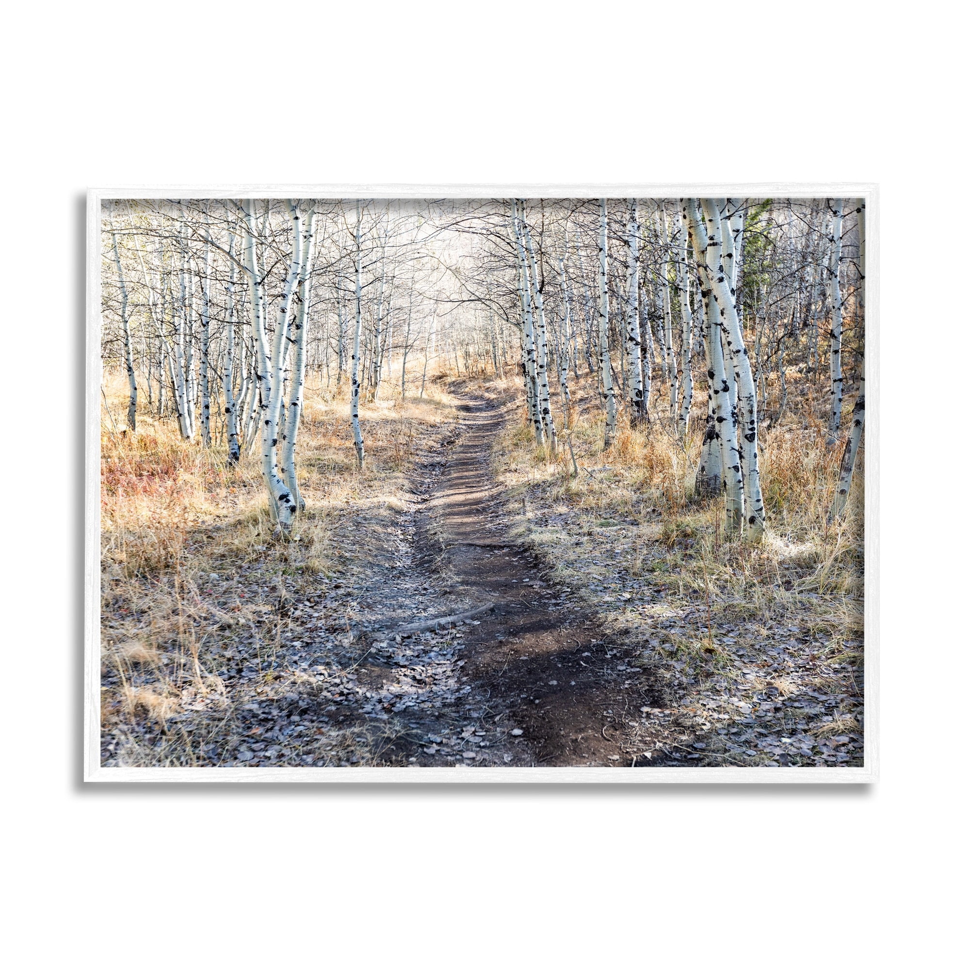 Stupell Industries Dirt Path Between Birch Tree Forest Woodland Scene Photograph White Framed Art Print Wall Art, Design by Steve Smith