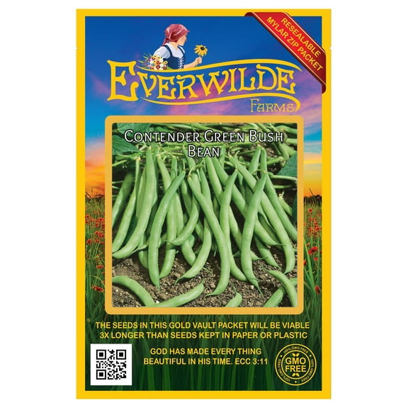 Everwilde Farms - 100 Contender Green Bush Bean Seeds - Gold Vault Jumbo Bulk Seed Packet