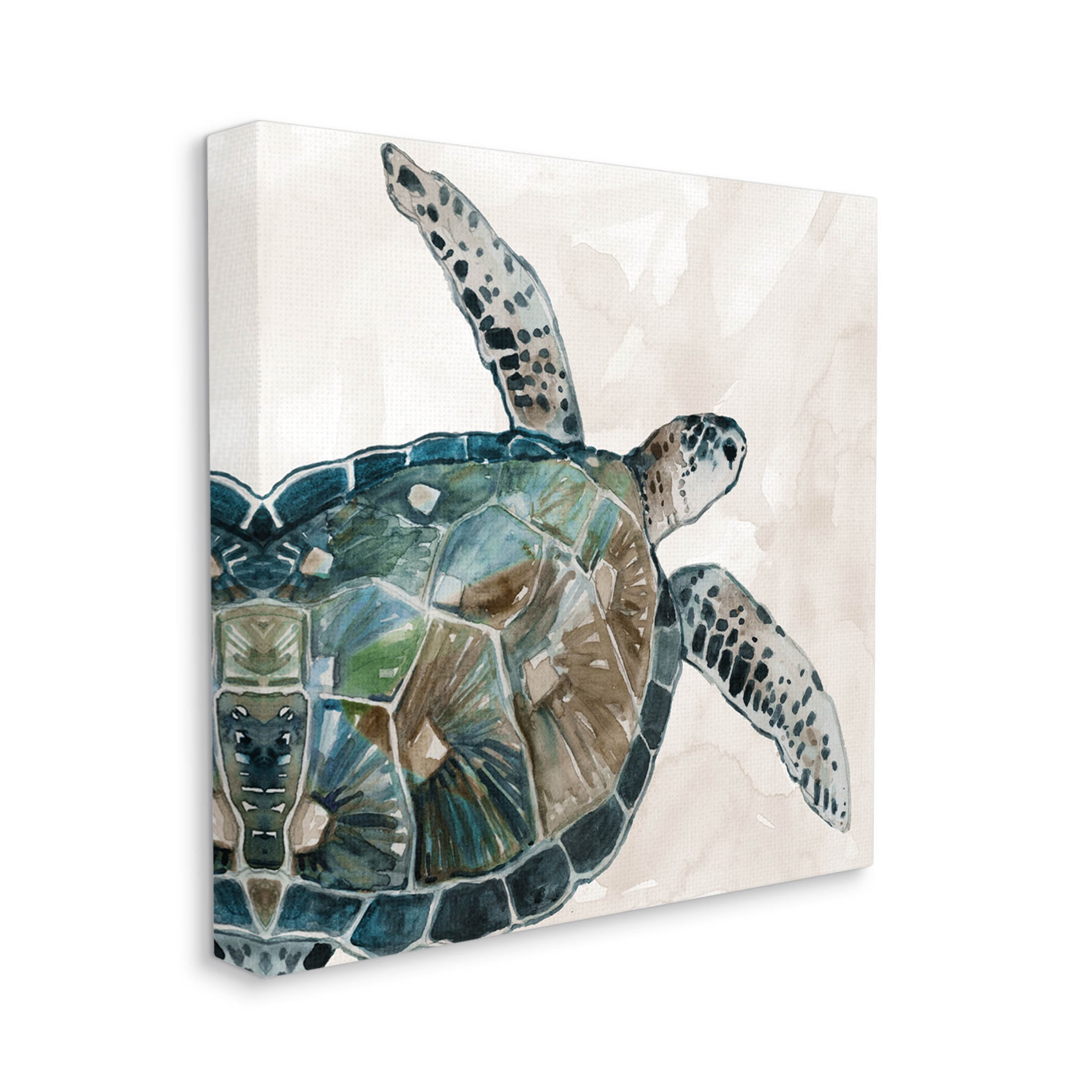 Stupell Industries Brown Tortoise Sea Life Graphic Art Gallery Wrapped Canvas Print Wall Art, Design by Carol Robinson