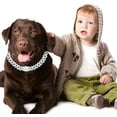 thumbnail image 6 of Chain Dog Collar for Large Dogs, Diamond Metal Cuban Link Dog Collar,15mm Wide Bling Sparkly Puppy Necklace for Small Medium Large Pet Dogs Cats Blue(22 inch), 6 of 6