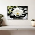 thumbnail image 2 of Elephant Stock White Orchid Wall Art - Horizontal Canvas Wall Art - Living Room Wall Decor - Floral And Botanical Canvas - Black And White Decor - 12" x 8", 2 of 8