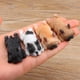 thumbnail image 4 of Perro en Miniatura de Resina Decoraciones Artesanales Casa Juguete Decoraciones de Escritorio Marron oscuro Cola Sleeping Corgi Dog, 4 of 8