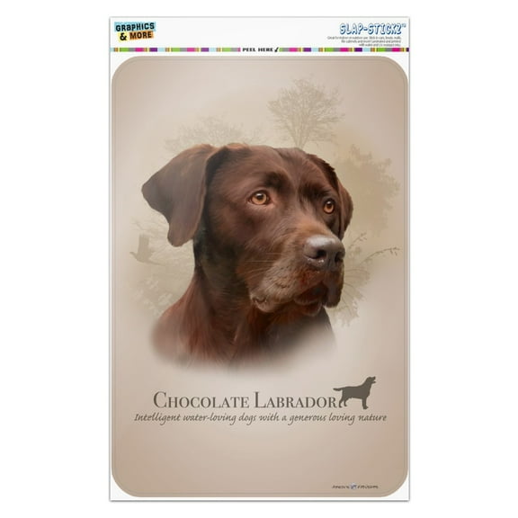 Chocolate Lab Labrador Dog Breed Home Business Office Sign