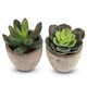 thumbnail image 1 of Juego de 2 plantas suculentas para decoración de balcón o patio Bonsái verde artificial en miniatura, 1 of 8