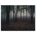 thumbnail image 2 of Design Art - Forêt Sauvage Sombre et Brumeuse, 2 of 4