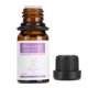 thumbnail image 1 of Breast Care Essence, Effective Mild No Irritation Soft Natural Breast Essential Oil, For Breast Home Women Improve Skin ANGGREK Breast Enhancement Oil, 1 of 8