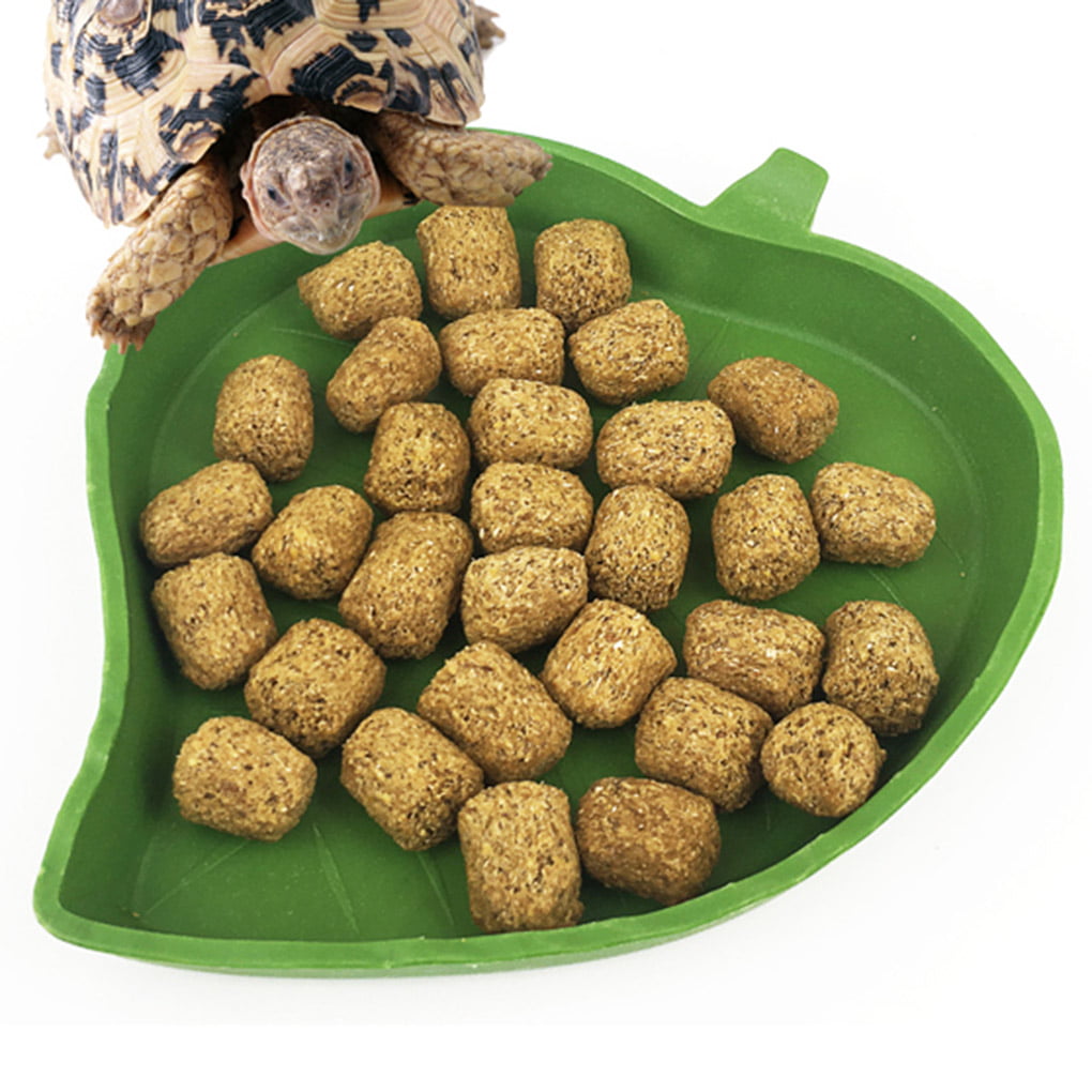 Pet  Reptile Water Food Dish Bowl Plastic Gecko Meal Worm Feeder Leaf Shape S/L 
