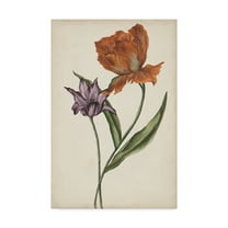 Trademark Fine Art 'Two Tulips II' Canvas Art by Melissa Wang